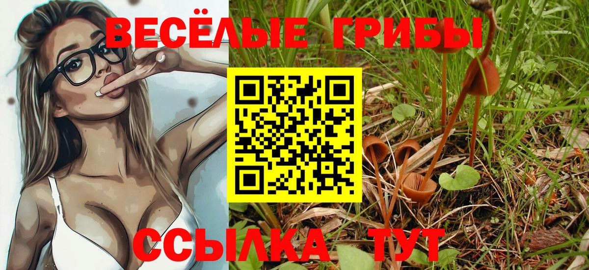 Галлюциногенные грибы GOLDEN TEACHER  Вход с VPN  Тимашёвск 